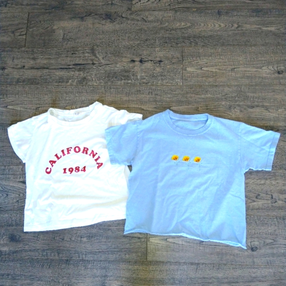 🌞 Pac Sun John Galt Crop T-shirt Bundle